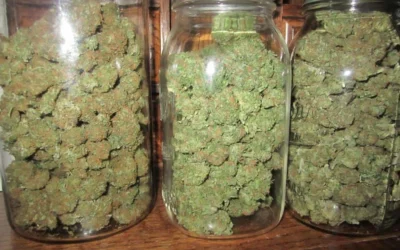 Chilecito: joven de 26 años con pedido de captura intentó escapar de la policía durante un patrullaje, pero terminaron encontrando drogas en su poder