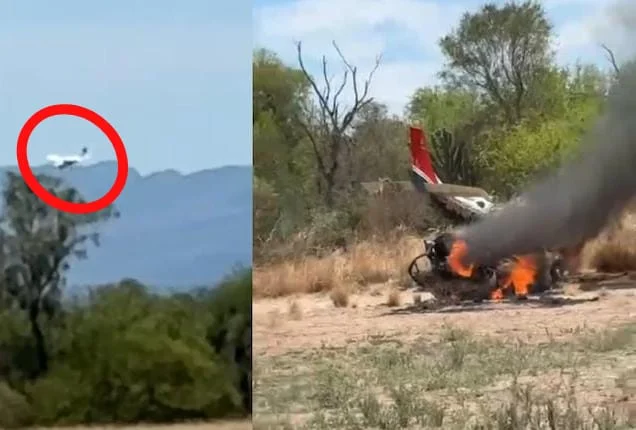 Impacto narco: Se estrelló una avioneta con 130 kilos de cocaína en Salta y sus ocupantes huyeron