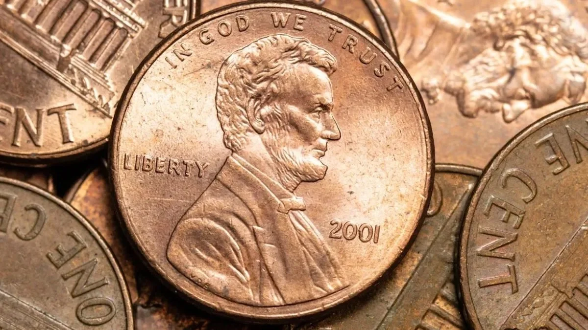 WhatsApp Image 2025-11-13 at 15.21.59