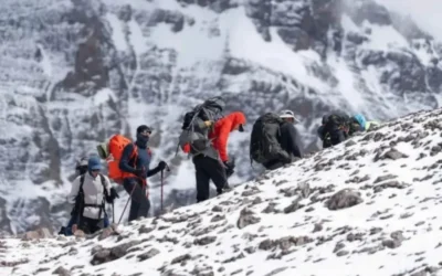 Tragedia en Chile: cinco turistas extranjeros murieron en la Patagonia por las condiciones extremas