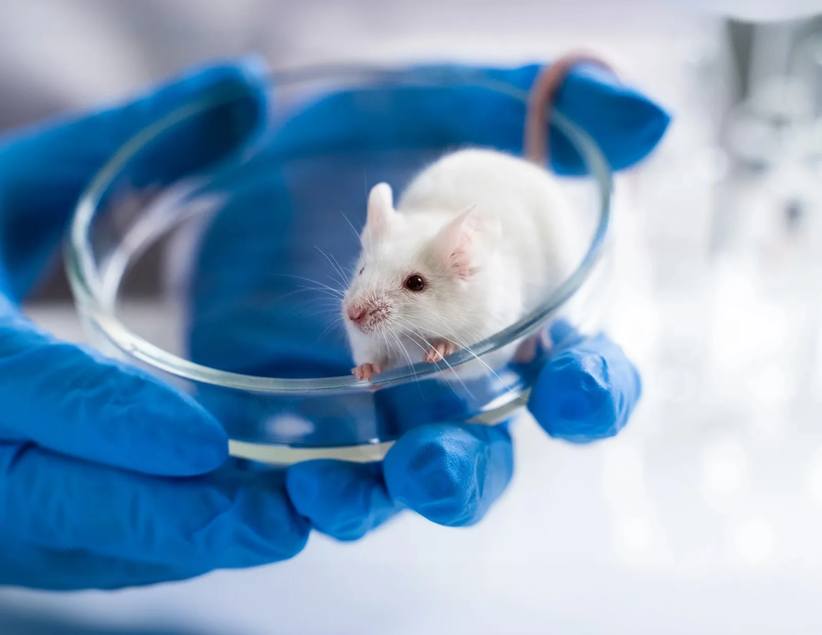 WhatsApp Image 2025-11-21 at 11.01.51-convertido-de-jpeg