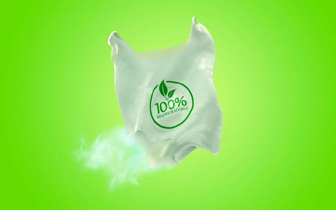 De Misiones al mundo: crearon bolsas biodegradables que se deshacen sin contaminar