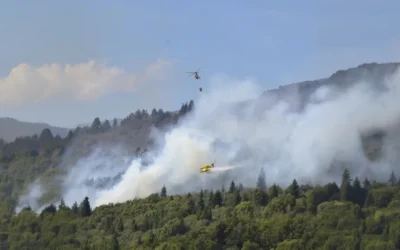 Alerta en Chubut: Un incendio activo en Los Alerces ya afectó más de 270 hectáreas de bosque nativo