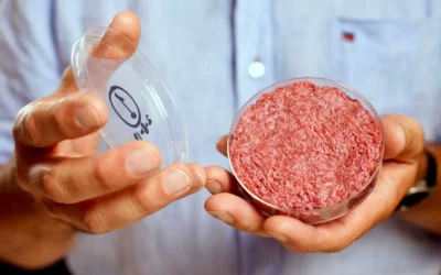 No a la carne creada en laboratorio: Italia se convirtió en el primer país en prohibir alimentos sintéticos