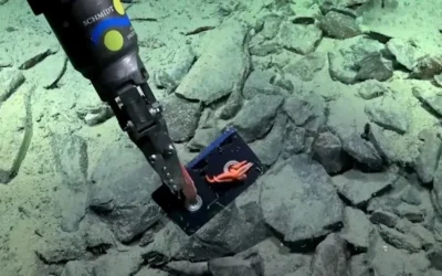 El Conicet encontró un VHS a más de 2.000 metros de profundidad en el Mar Argentino