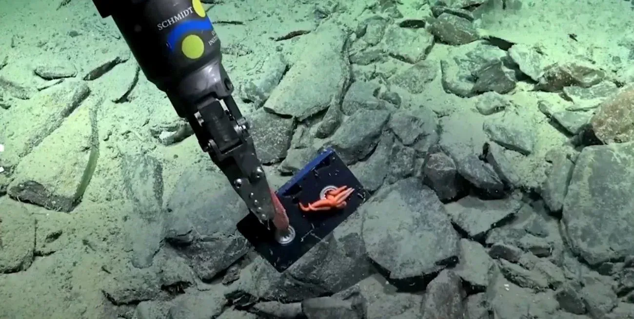 tc8VbDysN_1300x655__1-convertido-de-webp