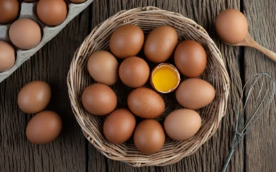 Argentina se convirtió en el mayor consumidor de huevos por habitante del mundo