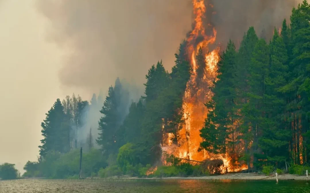 Más de 35.000 hectáreas ya fueron arrasadas por los incendios en la Patagonia y hay nuevos focos activos