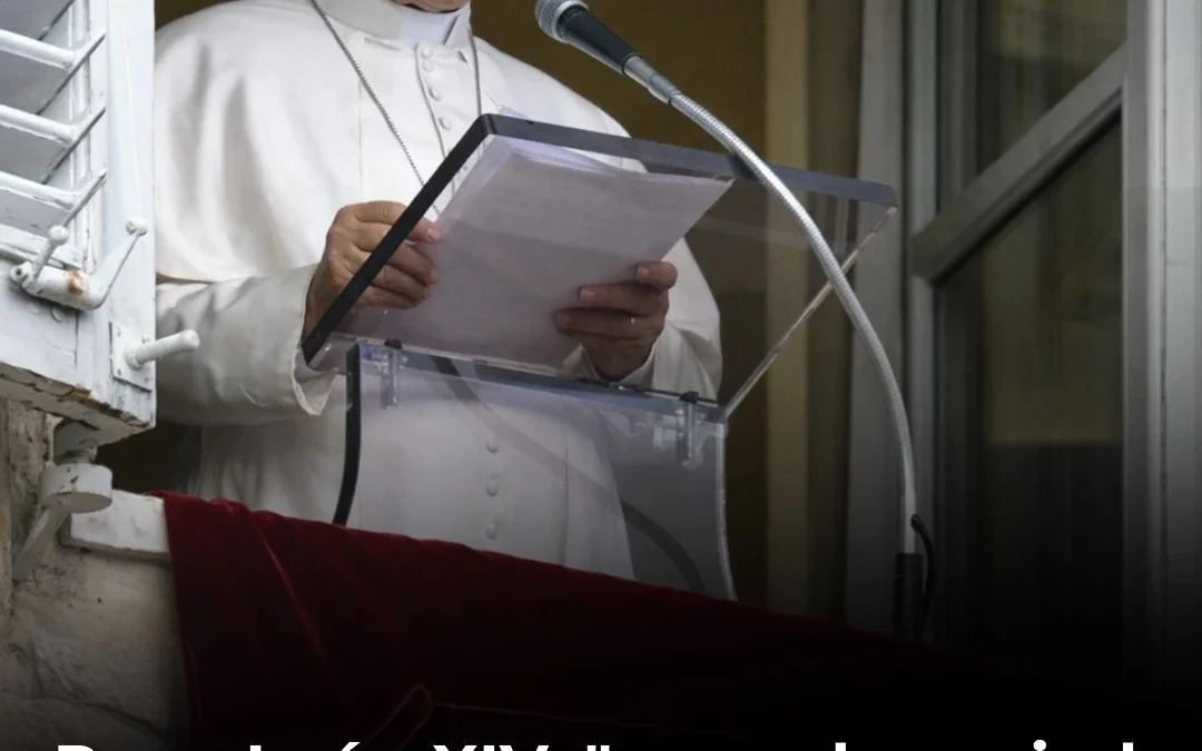 Papa León XIV: «paren la espiral de violencia antes de que se convierta en un abismo irreparable”