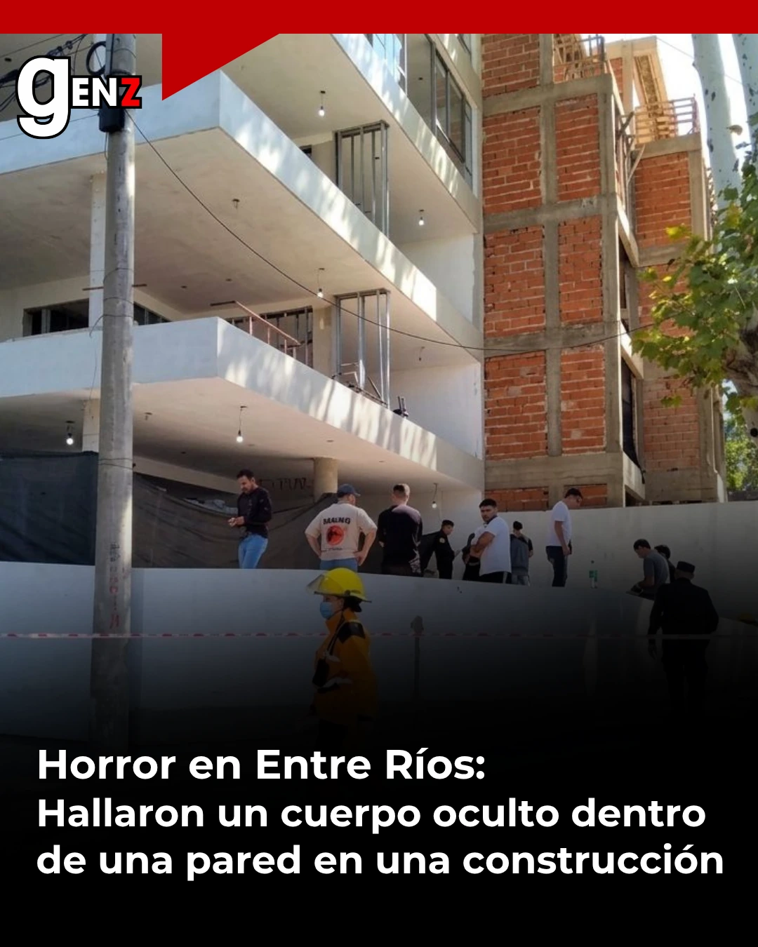 2017256256_1776090303021_doc_wp_87616850