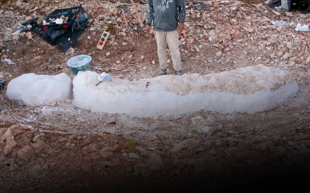 Encontraron en Chubut una nueva especie de dinosaurio de 155 millones de años