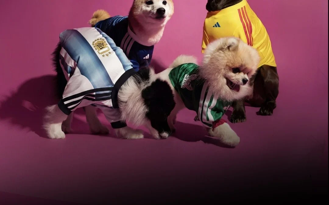 Adidas presentó camisetas oficiales de la Selección Argentina para perros