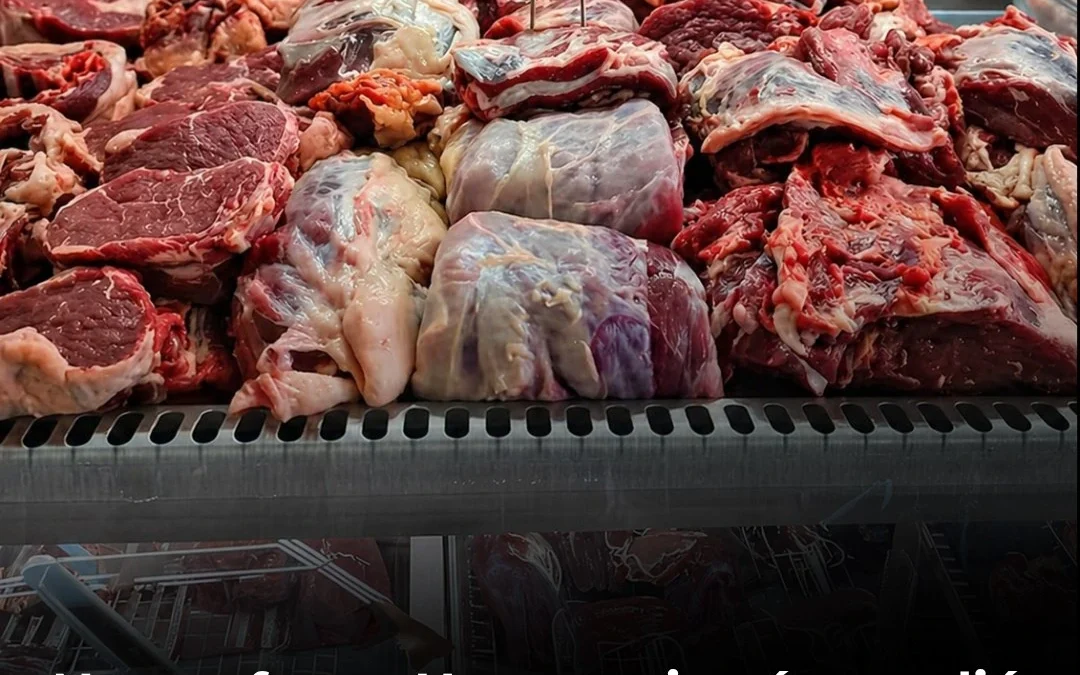 Nuevo furor: Una carnicería vendió carne de burro con permiso provisorio y agotó cerca 500 kilos en 48 horas