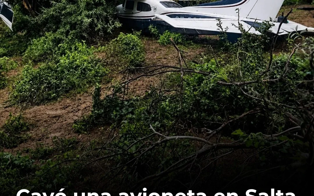 Cayó una avioneta en Salta y sus ocupantes escaparon: investigan posible vínculo ilegal