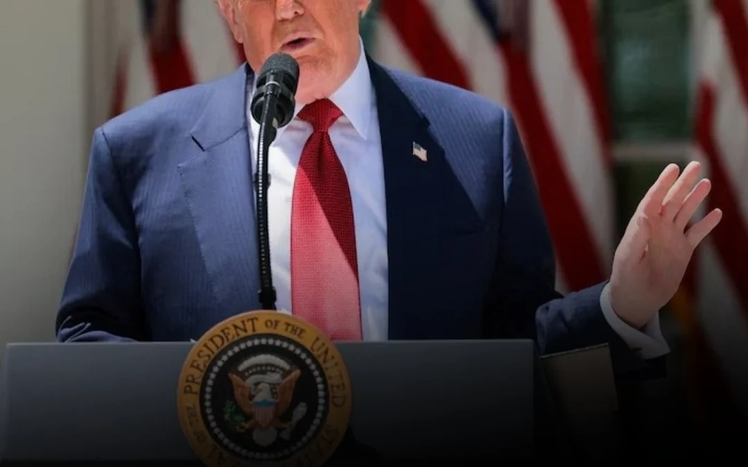 Paz de fin de semana: Trump anuncia tregua de 72 horas entre Rusia y Ucrania