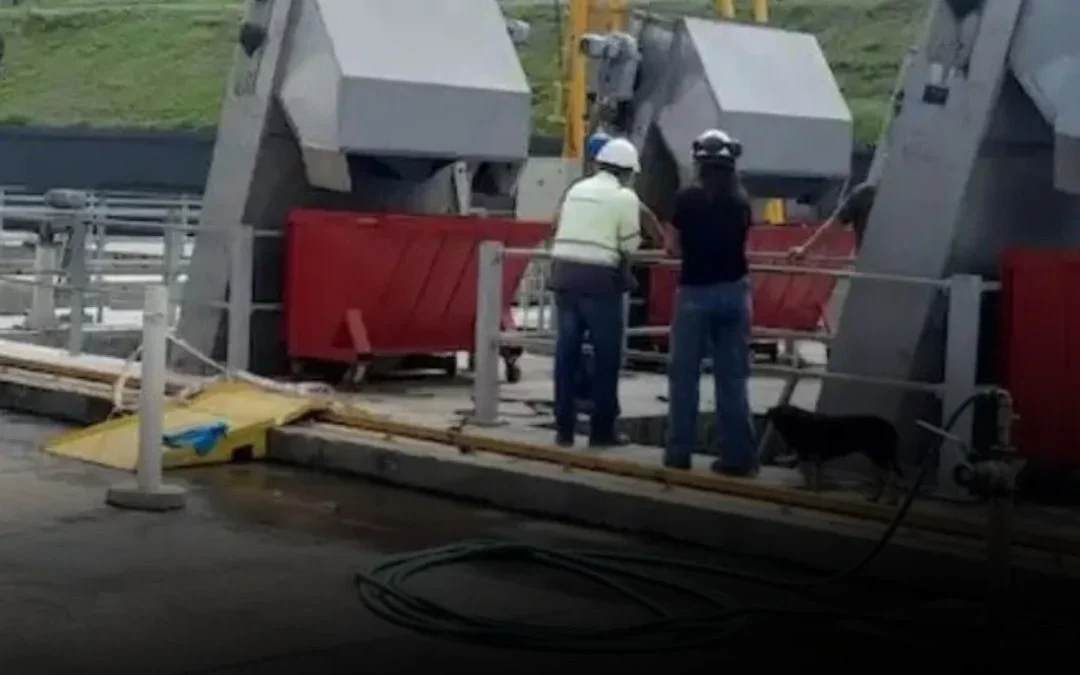 Hallaron un feto en una planta cloacal de Córdoba�