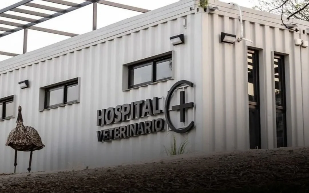 Córdoba tendrá el primer hospital veterinario municipal de urgencias gratuito del país