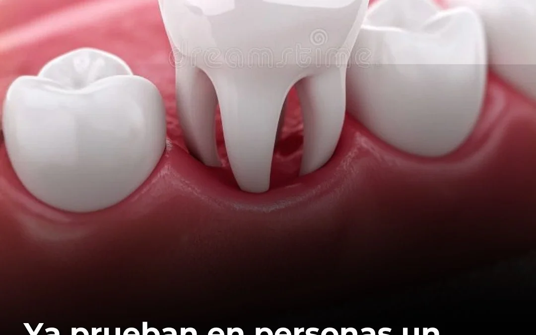 Ya prueban en personas un medicamento que podría hacer crecer dientes nuevos, tras buenos resultados en animales