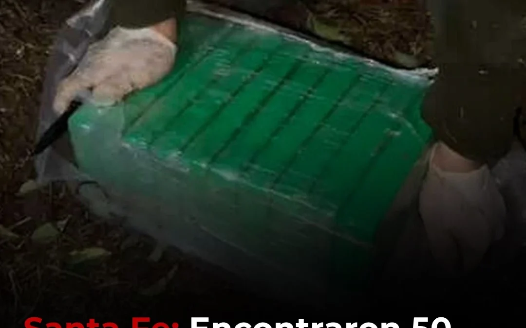 Santa Fe: Encontraron 50 kilos de cocaína enterrados en el patio de la casa de la madre de un narco