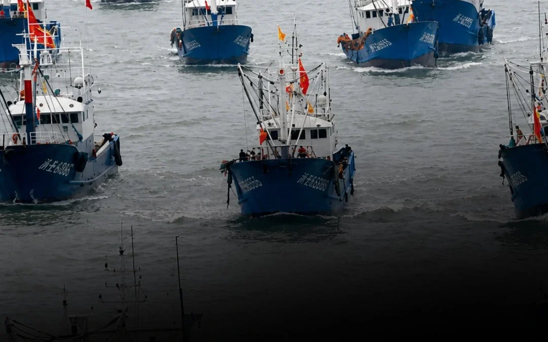 Más de 600 barcos extranjeros pescan frente al Mar Argentino y crece la preocupación