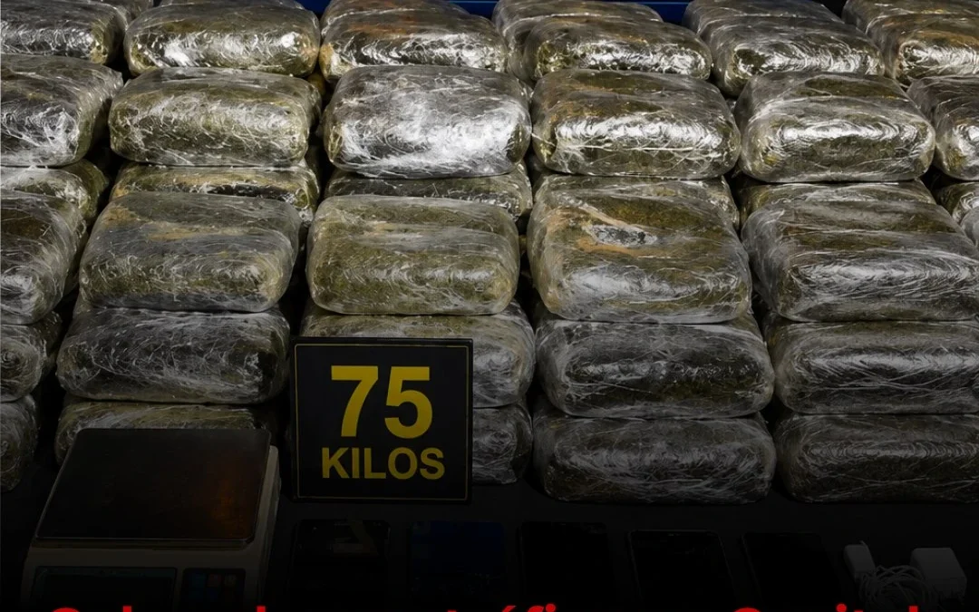 Golpe al narcotráfico en Capital: encontraron 75 kilos de marihuana y detuvieron a dos personas