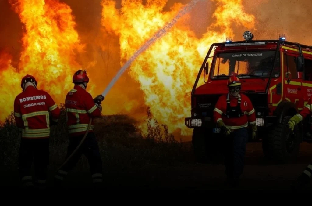 La ola de calor desató incendios que arrasaron más de 19.000 hectáreas en Europa