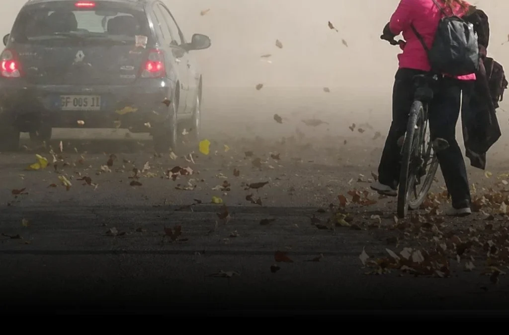 La Rioja: El viento Zonda causó daños en la red eléctrica y dejó a miles de usuarios sin servicio