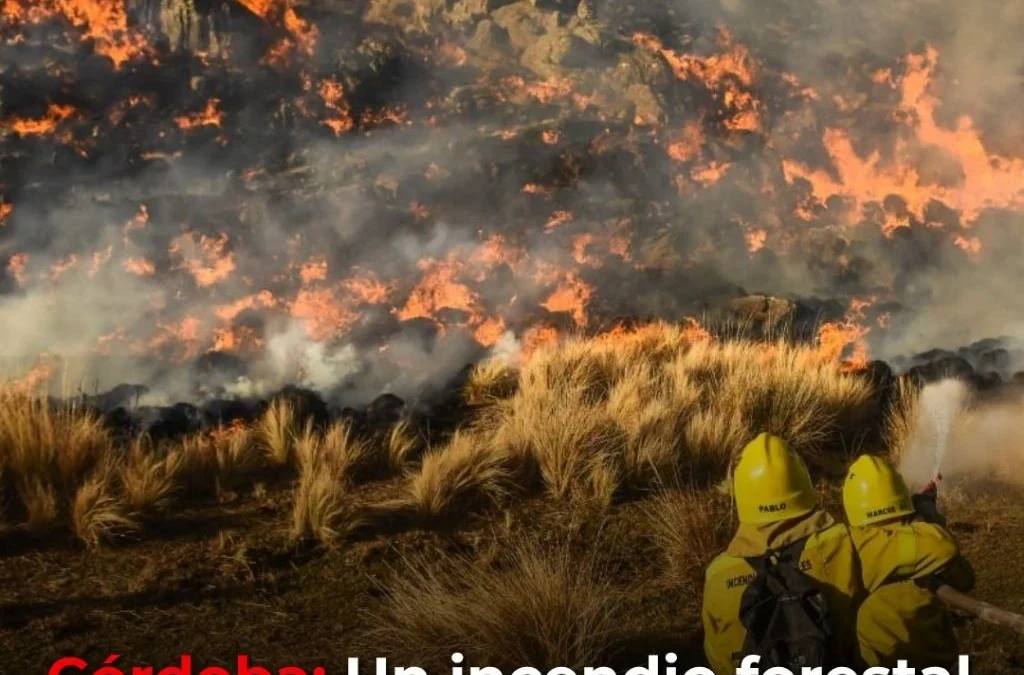Córdoba: Un incendio forestal activó la alerta roja y obligó a cortar la Ruta 38