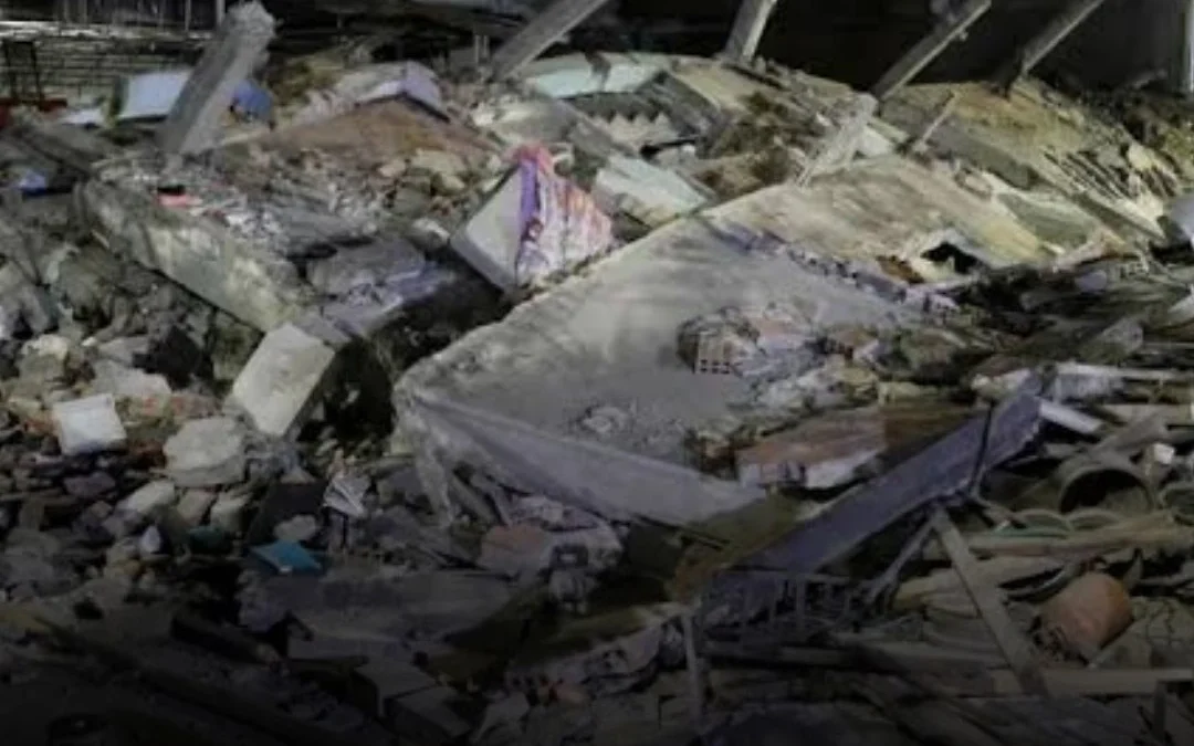 Argentino sobrevive al terremoto en Colombia y termina internado por el ataque de miles de abejas