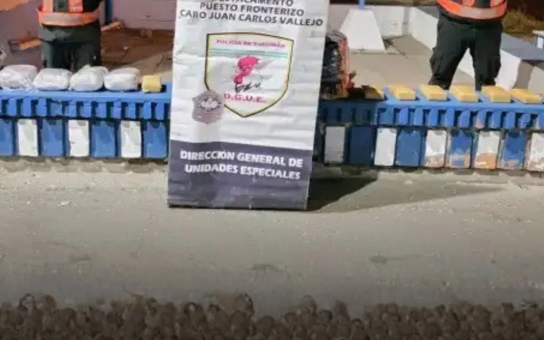 Secuestran 18 kilos de marihuana enviados en encomiendas y detienen a tres personas en La Rioja