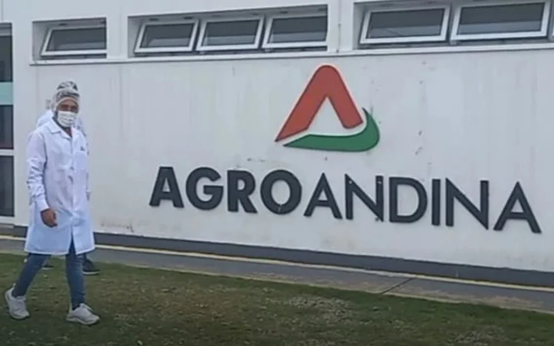 Chilecito: Un portero de Agroandina sufrió una fractura de fémur tras ser atacado por dos camioneros