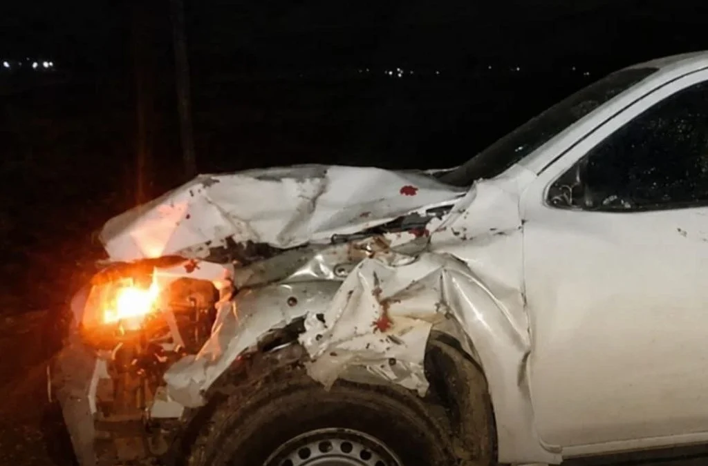 Una camioneta chocó contra un caballo en Ruta 40: el animal murió y el conductor resultó ileso