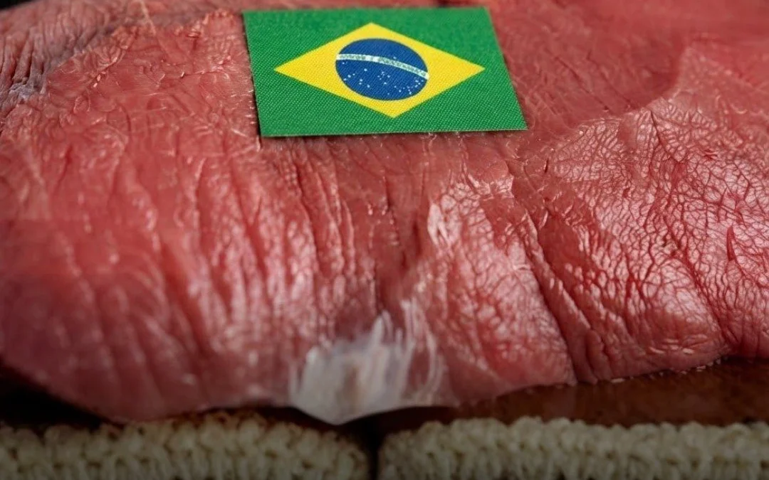Problemas sanitarios: La Unión Europea suspende la importación de carnes de Brasil