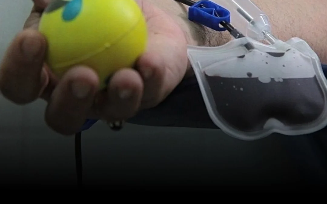 Los Testigos de Jehová permitirán donar y recibir sangre por decisión personal