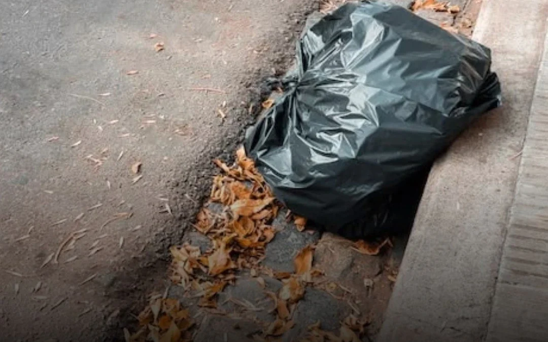 Córdoba: Encontraron el cuerpo mutilado de un bebé en una bolsa