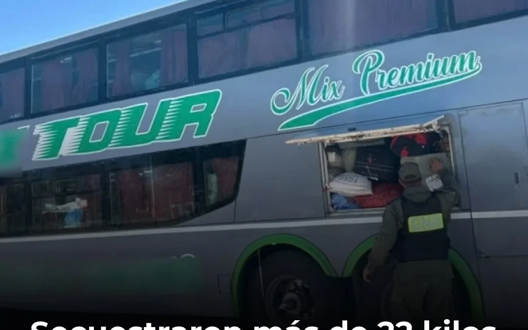 Secuestraron más de 22 kilos de hojas de coca en un tour de compras que atravesaba La Rioja