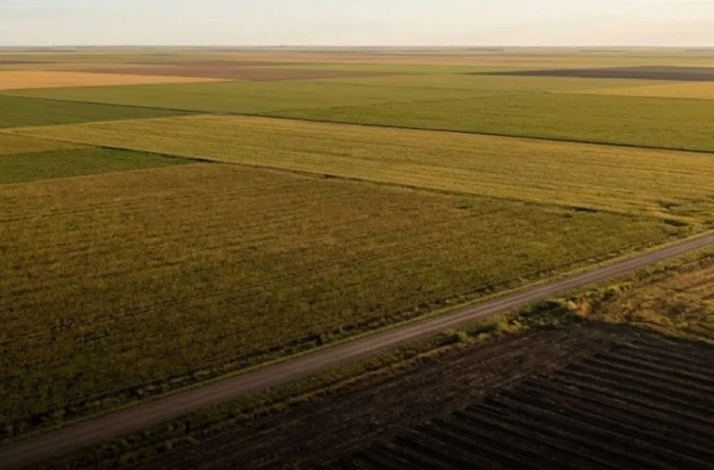 Extranjeros podrán comprar campos sin las restricciones que regían desde 2011