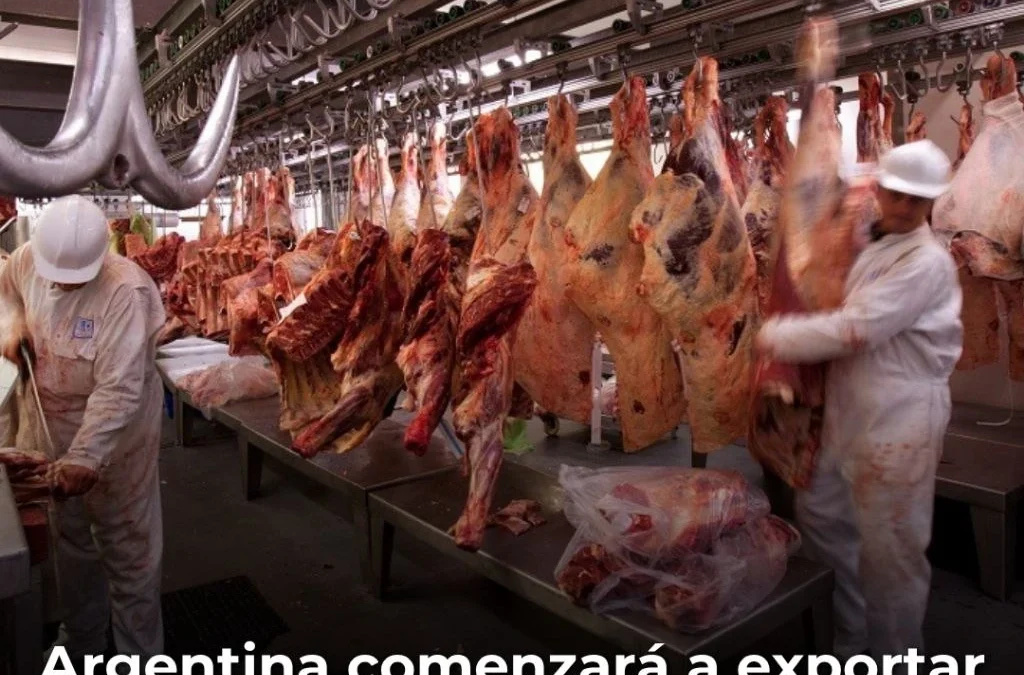 Argentina comenzará a exportar carne bovina a Japón, un mercado que mueve alrededor de US$ 3.000 millones
