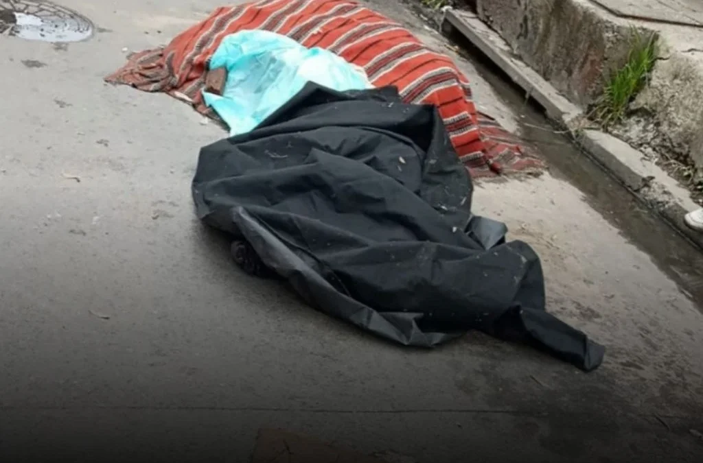 Asesinó a su pareja de 19 puñaladas tras revisar su celular y murió en la fuga