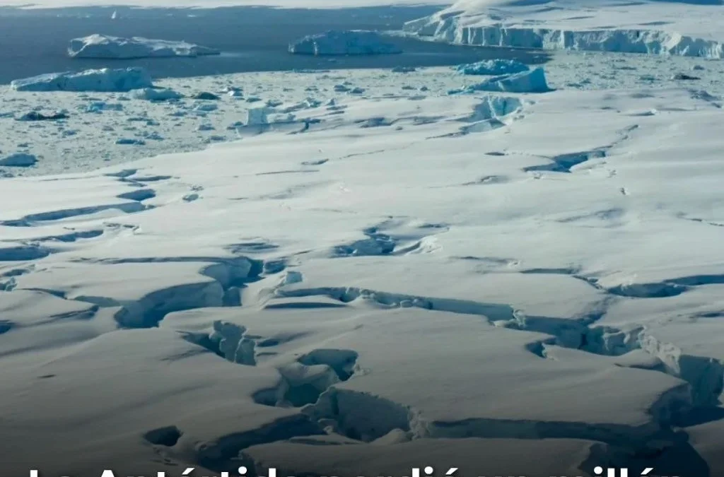 La Antártida perdió un millón de kilómetros cuadrados de hielo marino