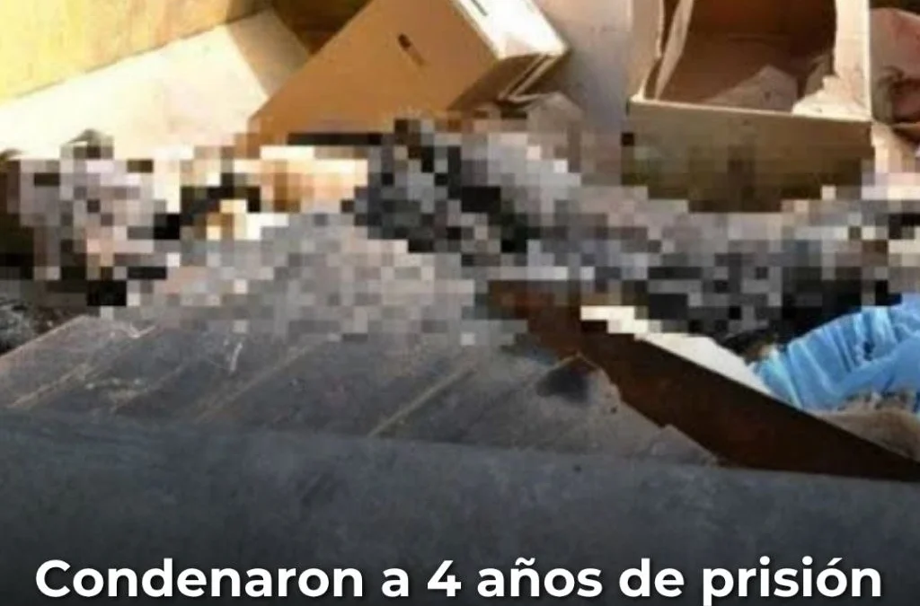 Condenaron a 4 años de prisión a un exintendente de Córdoba por el envenenamiento de 211 animales