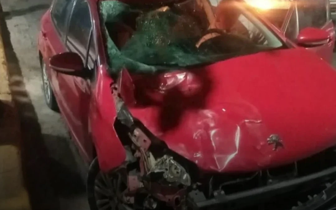 Dos vehículos chocaron contra caballos sueltos en la Ruta 60, a la altura de Agrinsa, en San Blas de los Sauces